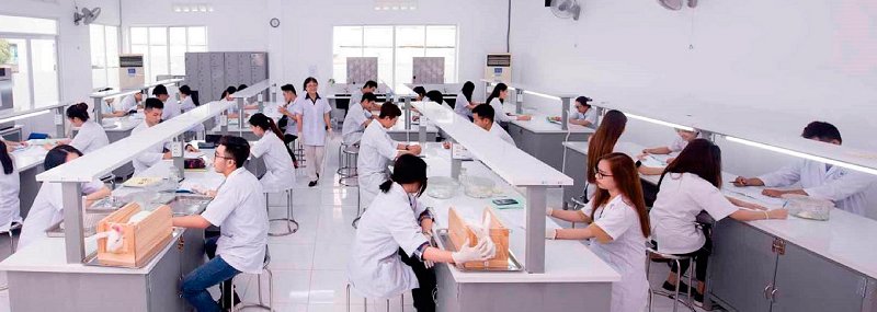 Ngành dược học