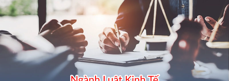 Ngành luật kinh tế đào tạo mấy năm, thi khối gì, ra trường làm gì, lấy bao nhiêu điểm