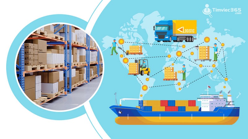 3PL VÀ TOP 5 ĐIỀU CÓ THỂ BẠN CHƯA BIẾT