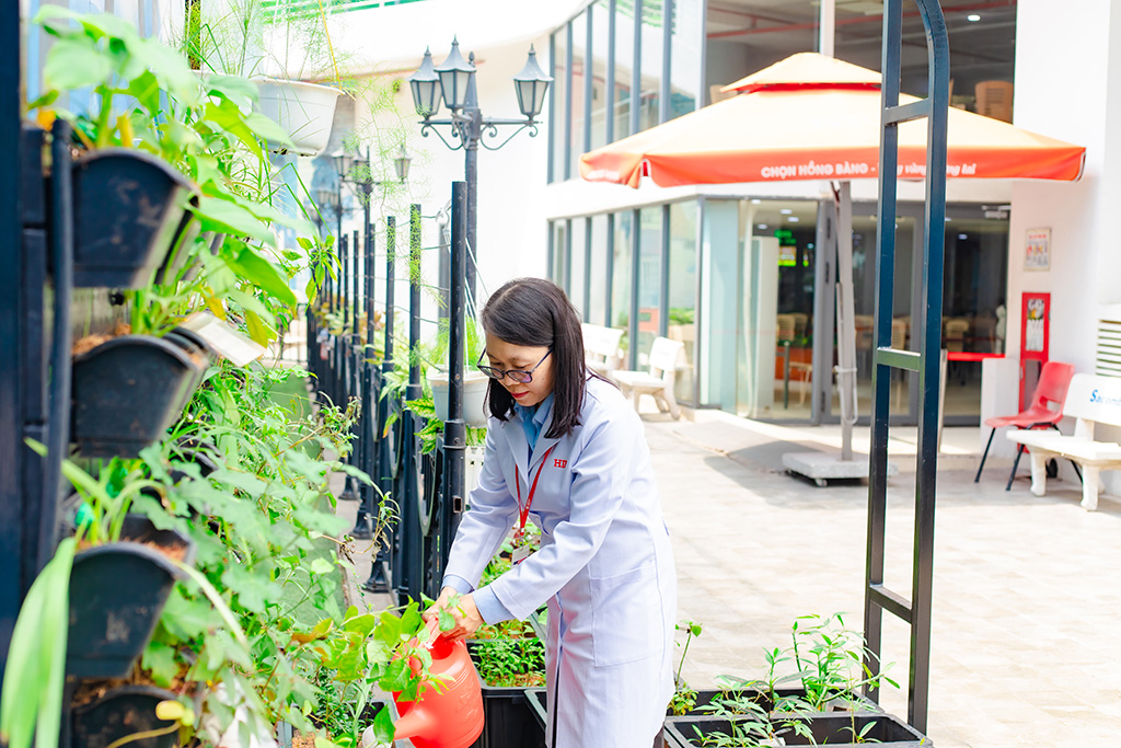 ThS.BS Nhan Hồng Tâm – Phó Trưởng Bộ môn Y học cổ truyền chăm sóc Vườn thuốc Nam đặt tại trụ sở chính của HIU