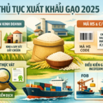 Thủ tục xuất khẩu gạo mới nhất 2026 – Doanh nghiệp cần chuẩn bị gì?