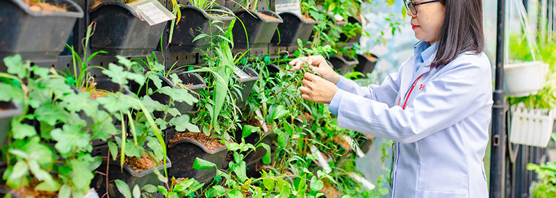 Người thầy không bắt đầu bài giảng bằng kiến thức, mà bằng một khu vườn